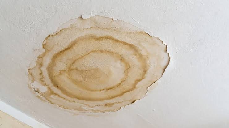 Ceiling water damage from a leak above Large brown water stain spreading across a white ceiling