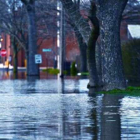 Flash flooding in a residential neighborhood Floodwater covering a residential street and sidewalk after heavy rain